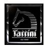 Tattini